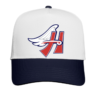 NAVY/ WHITE COLORBLOCK HAT