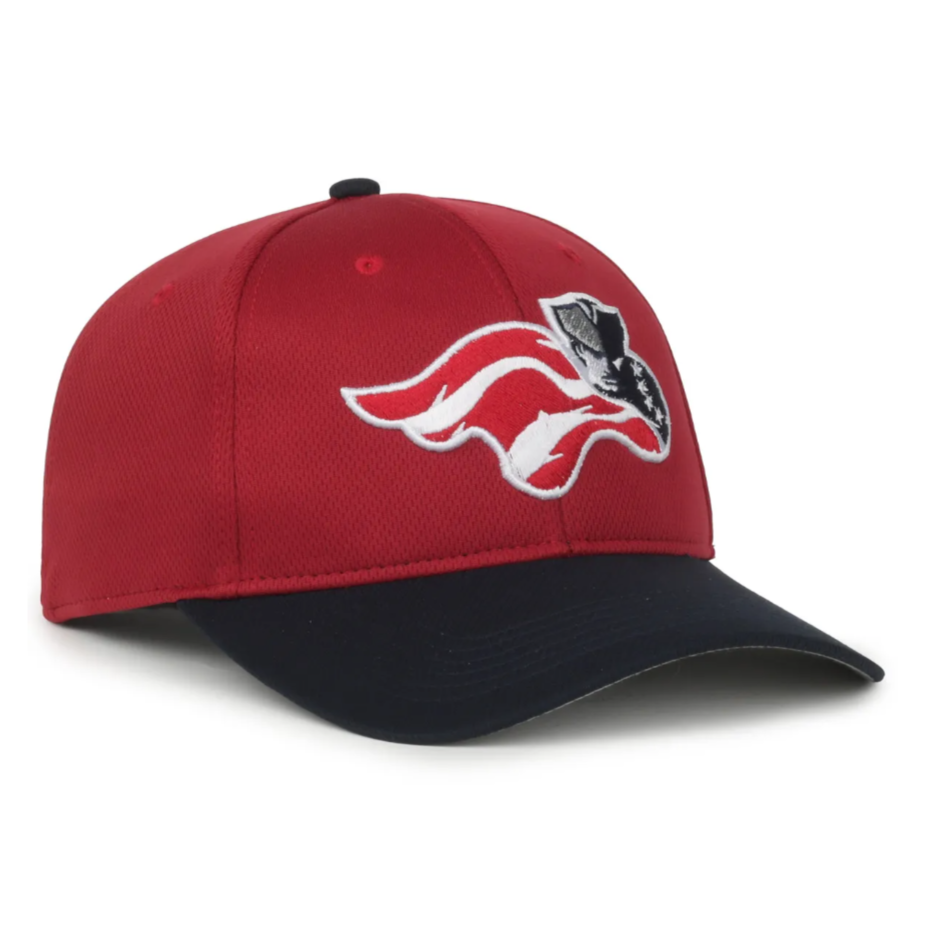 FSYBS PATRIOTS HAT