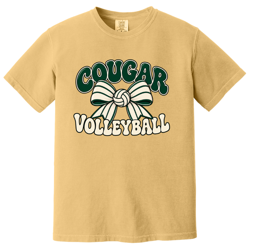 CHAFFIN VOLLEYBALL SHORT SLEEVE TEE