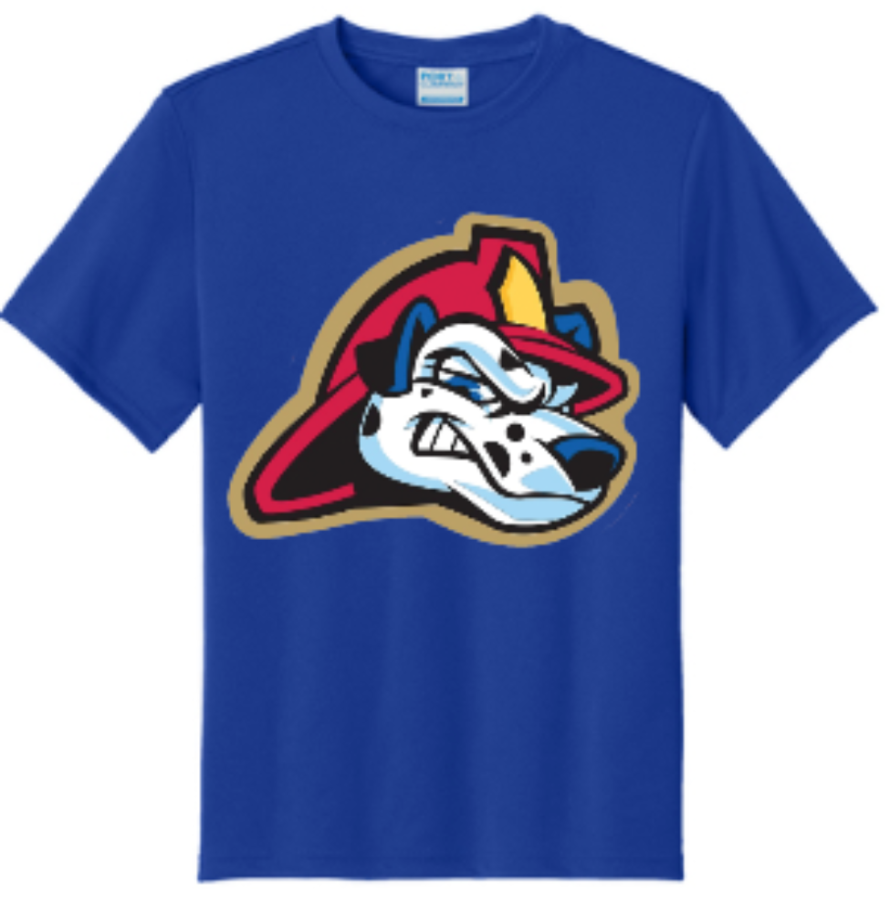 FSYBS CHIEFS TEE
