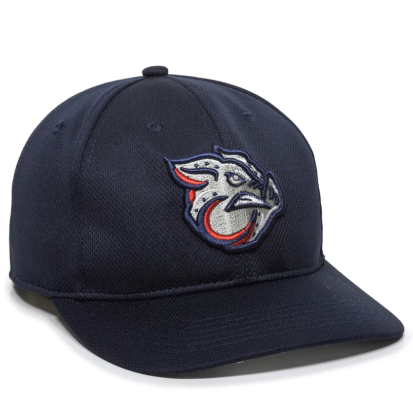 FSYBS IRON PIGS HAT